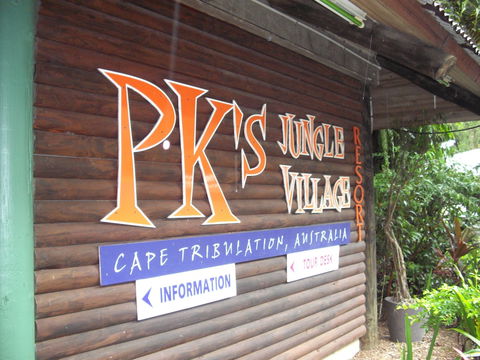 PKs Jungle Village - Hostel - Accommodation Mermaid Beach 0