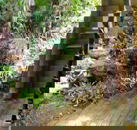 Rainforest Hideaway - Accommodation Mermaid Beach