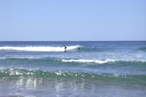 Culburra Beach House - Accommodation Mermaid Beach 4