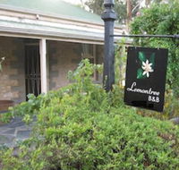 Lemontree Cottage - Accommodation Mermaid Beach