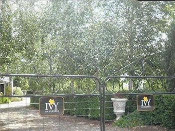 Ivy On Glenelg - Accommodation Mermaid Beach 2