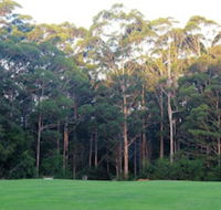 Tinglewood Cabins - Accommodation Mermaid Beach