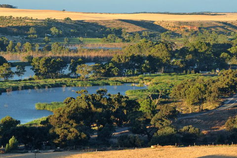 Riverview Rise Retreats - Accommodation Mermaid Beach 5