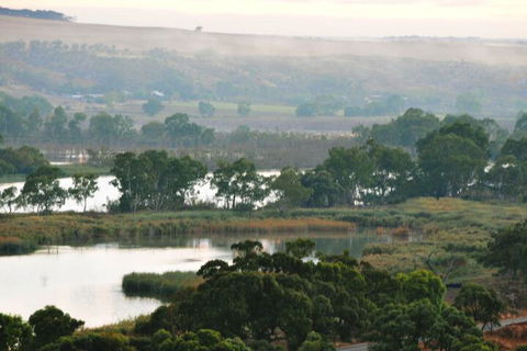 Riverview Rise Retreats - Accommodation Mermaid Beach 6