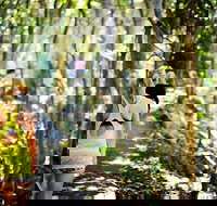 Cashelmara Beachfront Apartments - Accommodation Mermaid Beach