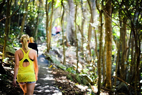 Cashelmara Beachfront Apartments - Accommodation Mermaid Beach 0