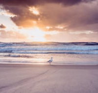 Blue Waters Motel - Accommodation Mermaid Beach