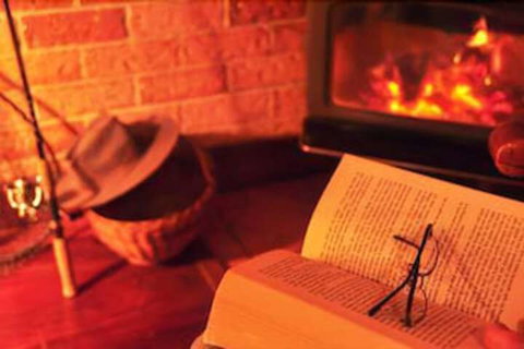 Clover Cottage Country Retreat - Accommodation Mermaid Beach 1