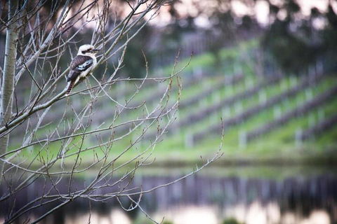 Bettenays Margaret River - Accommodation Mermaid Beach 4