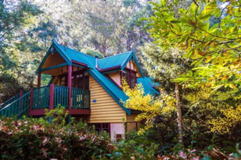 Arnica Views - Accommodation Mermaid Beach 0