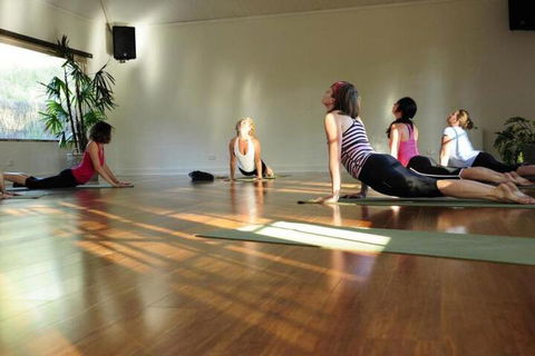 Hummingbird Eco Retreat - Accommodation Mermaid Beach 5