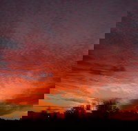 City Centre Motel - Accommodation Mermaid Beach