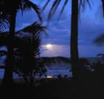 Sejala Beach Huts - Accommodation Mermaid Beach