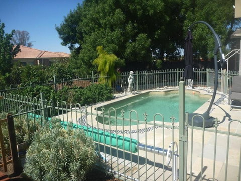 Must Love Dogs B&b - Accommodation Mermaid Beach 2