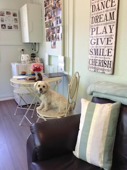 Must Love Dogs B&b - Accommodation Mermaid Beach 6