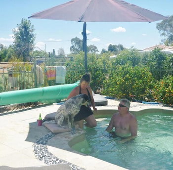 Must Love Dogs B&b - Accommodation Mermaid Beach 1