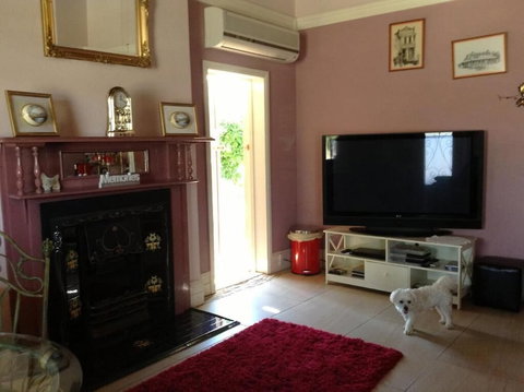 Must Love Dogs B&b - Accommodation Mermaid Beach 3