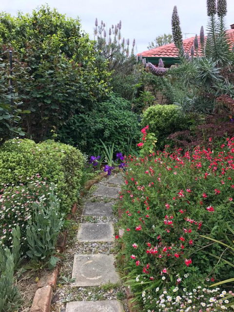 Admurraya House Bed & Breakfast - Accommodation Mermaid Beach 4