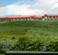 Turners Vineyard Motel and Function Centre - Accommodation Mermaid Beach