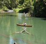Figtree Getaway - Accommodation Mermaid Beach