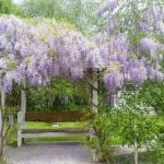 Amelina Cottages - Accommodation Mermaid Beach 0