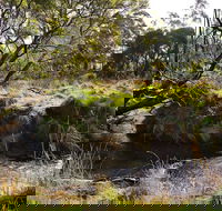Green Gully House - Accommodation Mermaid Beach