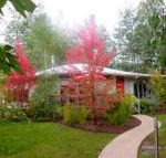 Dalrymples Guest Cottages - Accommodation Mermaid Beach