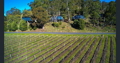 Armalong Winery Chalets - Accommodation Mermaid Beach 1