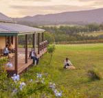 Hanging Tree Wines - Accommodation Mermaid Beach