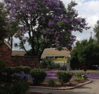 Belvoir Village Motel  Apartments Wodonga - Accommodation Mermaid Beach