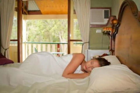 Bimbadeen Mountain Retreat - Accommodation Mermaid Beach 6