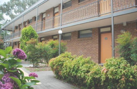 Red Cedars Motel - Accommodation Mermaid Beach 3