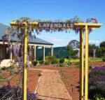 Lavendale Farmstay  Cottages York - Accommodation Mermaid Beach