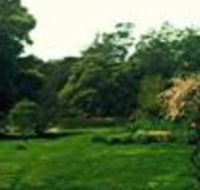 Birdwing Bed  Breakfast Weegena - Accommodation Mermaid Beach