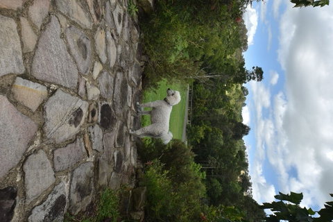 Coverdales B & B At Eumundi - Accommodation Mermaid Beach 0