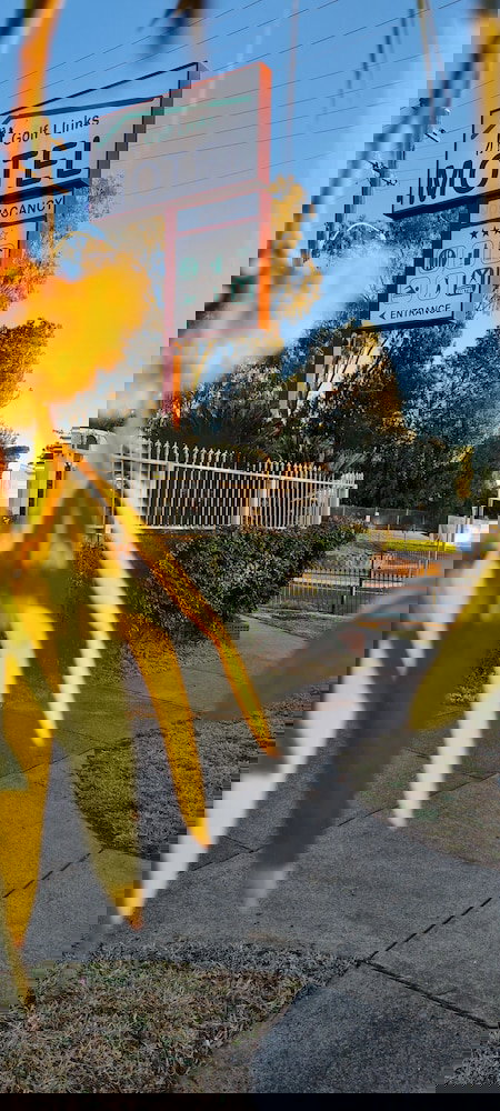 Golf Links Motel - Accommodation Mermaid Beach 1