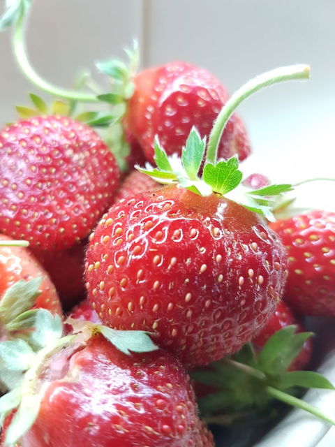 Queen's Cottage Bed And Breakfast Barossa Valley - Accommodation Mermaid Beach 4