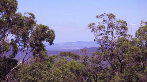 Ravensbourne Escape Cedar Lodge - Accommodation Mermaid Beach 5