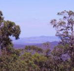 Ravensbourne Escape Cedar Lodge - Accommodation Mermaid Beach