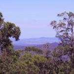 Ravensbourne Escape Cedar Lodge - Accommodation Mermaid Beach 0