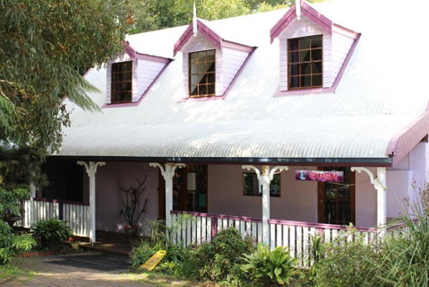Dancing Waters Cottage - Accommodation Mermaid Beach 1