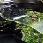 Mudstone Spa Retreat - Accommodation Mermaid Beach 1