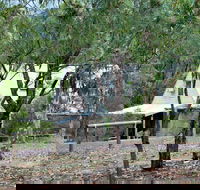 Woodlane Cottages - Accommodation Mermaid Beach