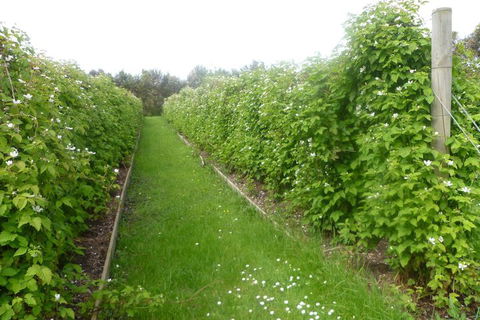 Karingal Homestead B & B - Accommodation Mermaid Beach 4