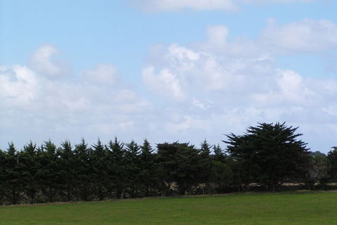 Karingal Homestead B & B - Accommodation Mermaid Beach 5