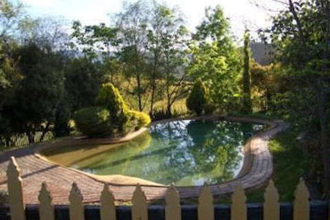 Willowlake Cottages - Accommodation Mermaid Beach 1