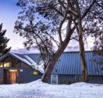 Cooroona Alpine Lodge - Accommodation Mermaid Beach