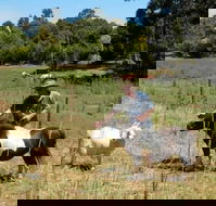 Country Cottages of Bridgetown - Accommodation Mermaid Beach
