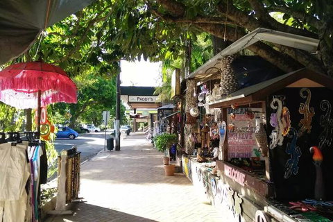 Villa Mercedes Luxury Villa - Accommodation Mermaid Beach 3