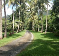 Cape Trib Farmstay - Accommodation Mermaid Beach
